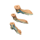 Lot de 3 pieds anatomiques