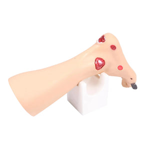 Modèle de pied avec plaies - Anatomie et pathologie My Podologie 