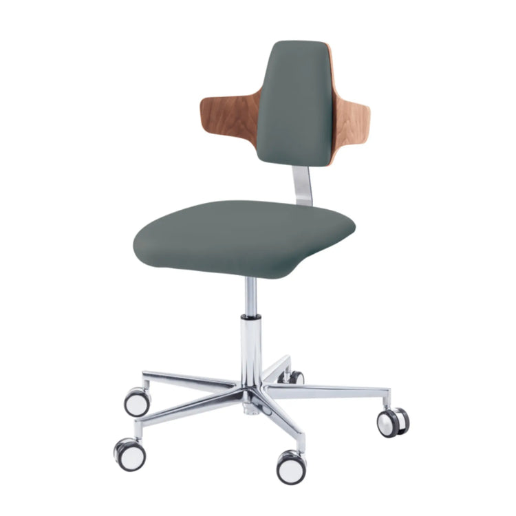 Siège praticien - COMFORT - Ruck - Dossier Napoleon My Podologie  CPL-Noyer-Pierre-Long